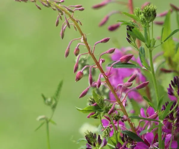 Haus Wiesenblick Sölden